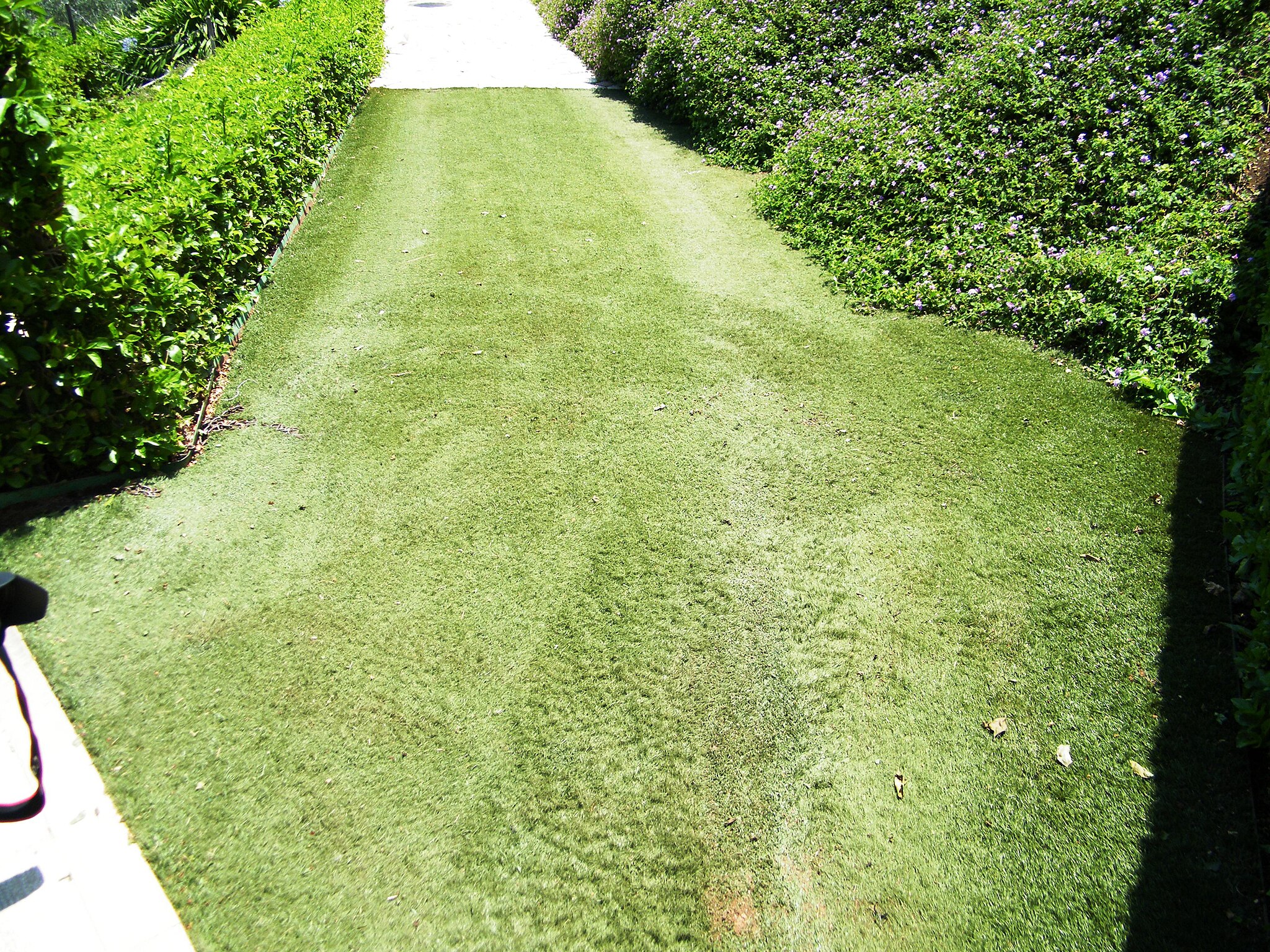 Astroturf_at_the_Bahá'í_gardens_-_Sarah_Stierch