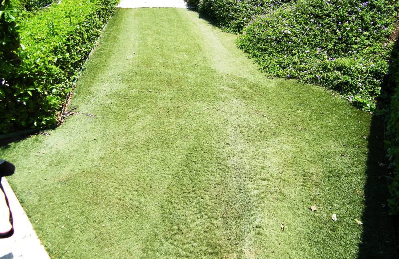 Astroturf_at_the_Bahá'í_gardens_-_Sarah_Stierch